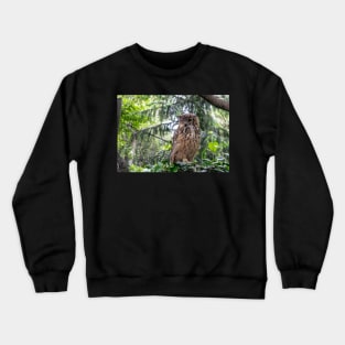 Indian eagle-owl Crewneck Sweatshirt